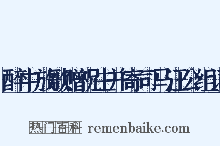 醉中放歌赠祝生并寄司马汪公组词是什么意思的图片